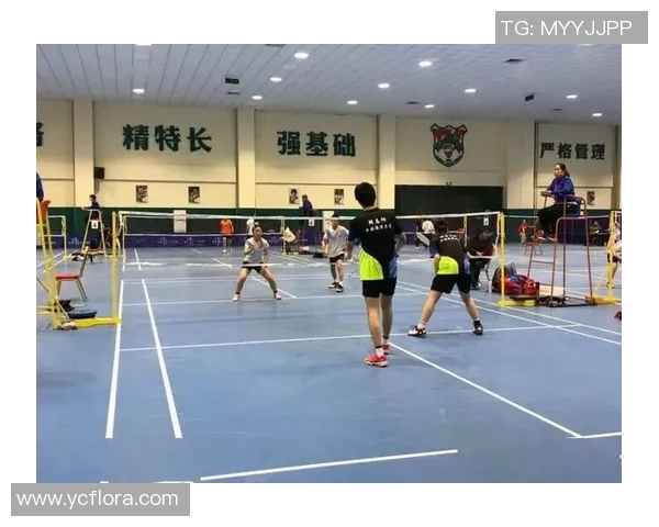 上海羽毛球队在锦标赛中的实力展现与未来发展潜力分析